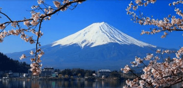 Shemale dating in Japan